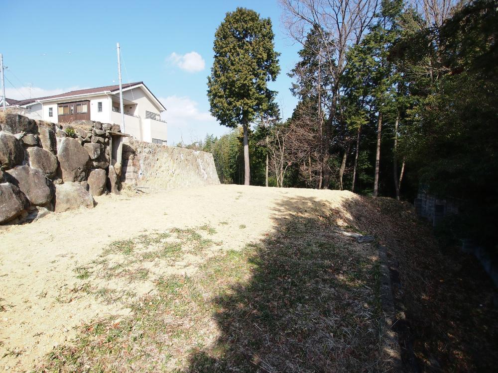 Other local. Local is the second stage. 