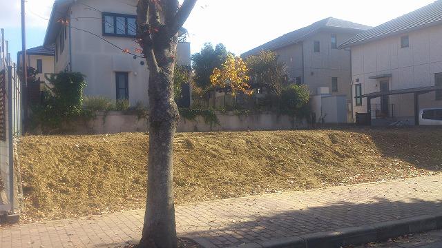 Local land photo. building