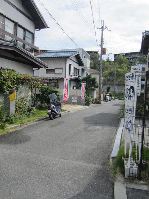 Local photos, including front road. Local (10 May 2013) Shooting