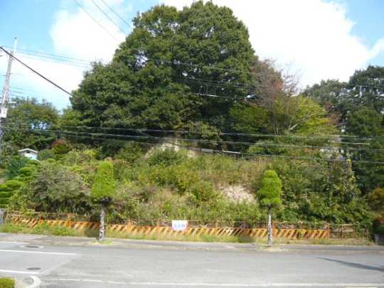Local land photo. Shoot the front from the front road