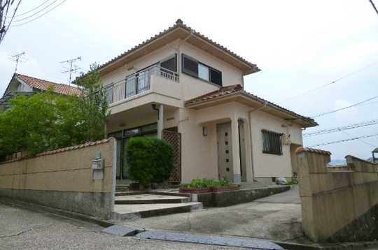 Local appearance photo. March 2009 exterior wall coating sort already