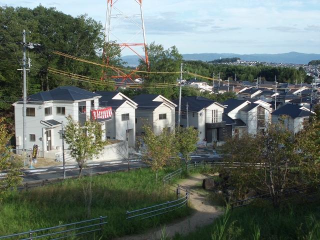 Hill photo. In front of the eyes, It is spread lush environment potato mountain park. 