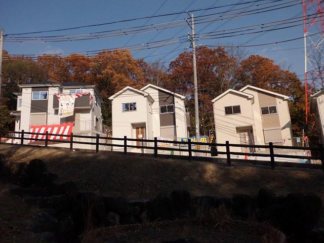 Local photos, including front road. Local (12 May 2013) Shooting Overlooking the site from Ogawa