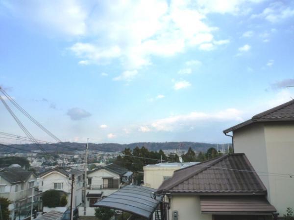 View photos from the dwelling unit. (Local photo)