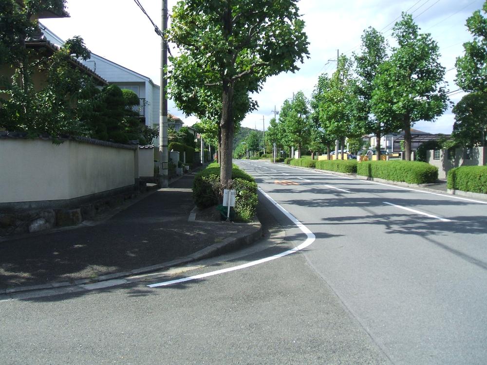 Local photos, including front road