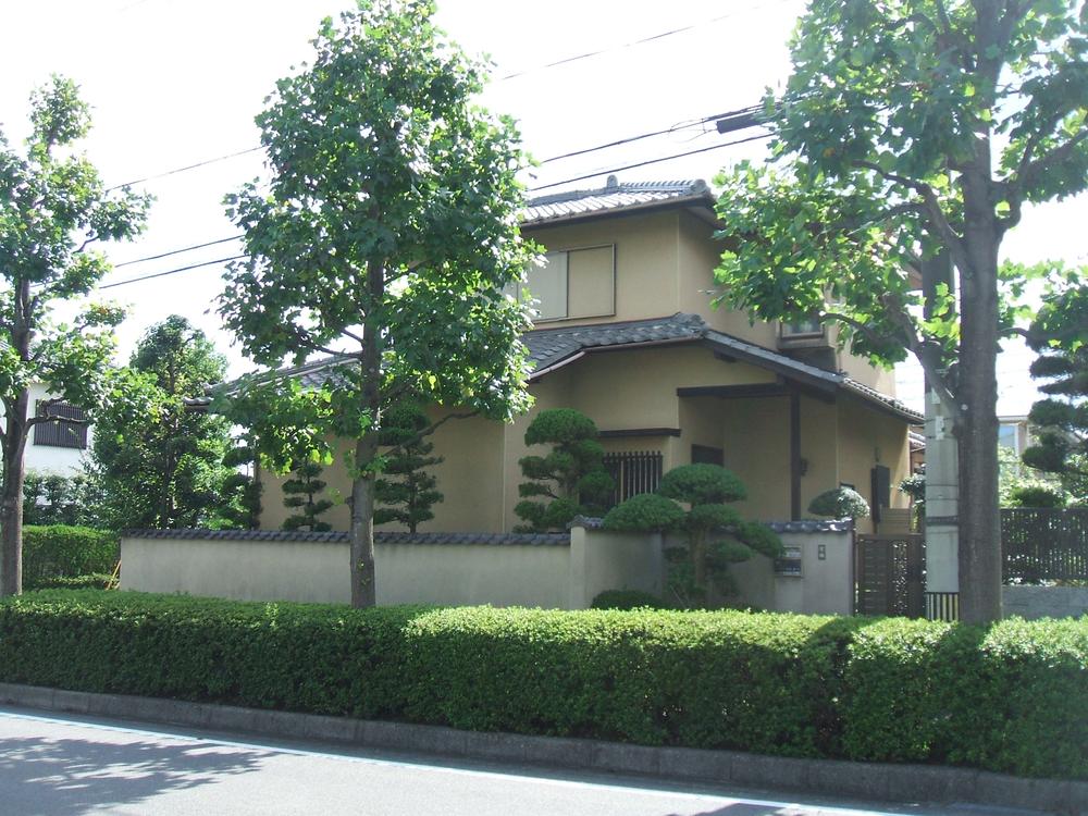 Local photos, including front road