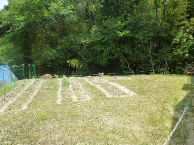 Local land photo. Home garden ・ Ideal for materials storage ☆