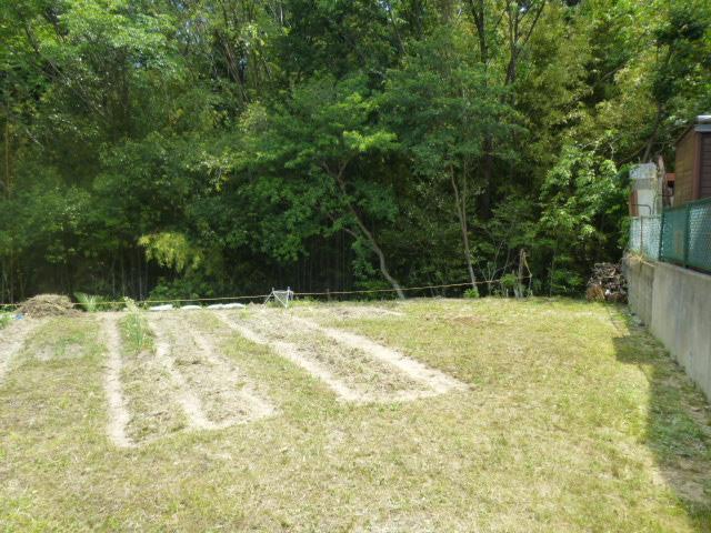 Local land photo. Local (June 2013) Shooting