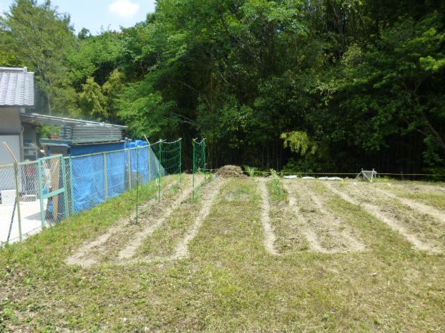 Local land photo. Local (June 2013) Shooting