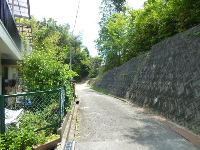 Local photos, including front road. Local (June 2013) Shooting