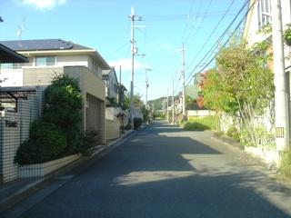 Local photos, including front road. Local (10 May 2013) Shooting