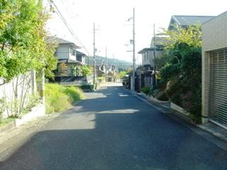 Local photos, including front road. Local (10 May 2013) Shooting