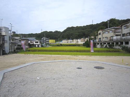 Local land photo. Local (10 May 2013) Shooting