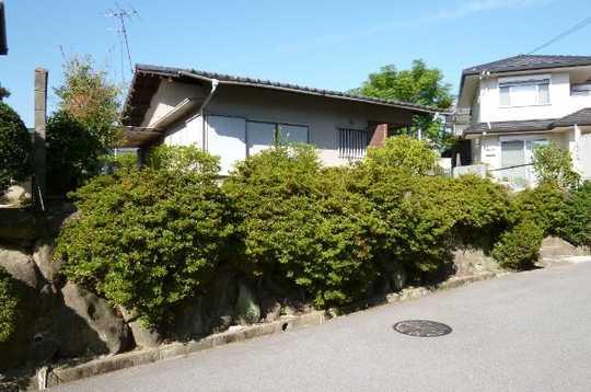 Local land photo. Local Photos