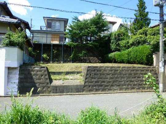 Local land photo. Local Photos