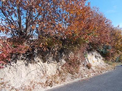 Local appearance photo. Local (12 May 2013) Shooting