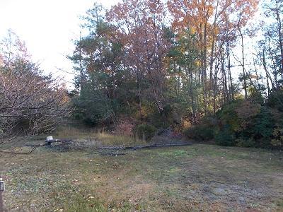 Local appearance photo. Local (12 May 2013) Shooting