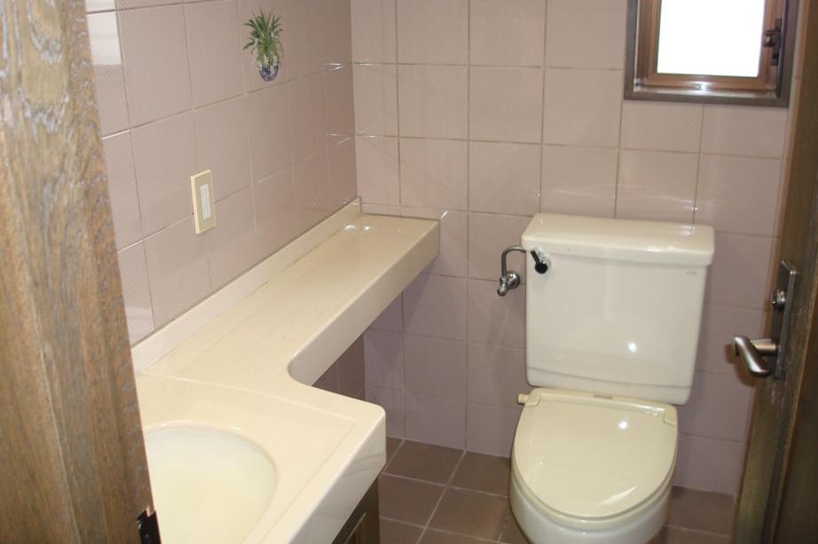 Toilet. Indoor (12 May 2013) Shooting