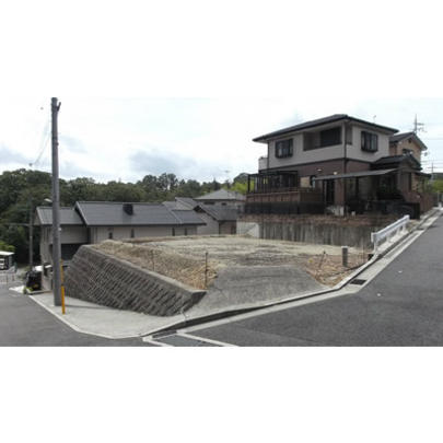 Local land photo. Panoramic view 1