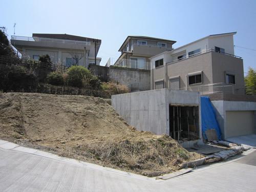 Local land photo. Local (March 2012) shooting