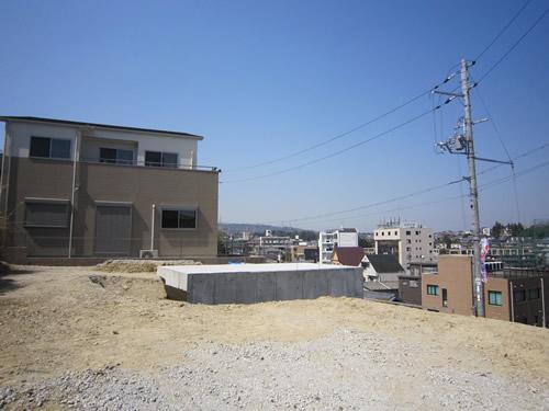 Local land photo. Local (March 2012) shooting