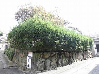 Local photos, including front road. Local (11 May 2013) Shooting