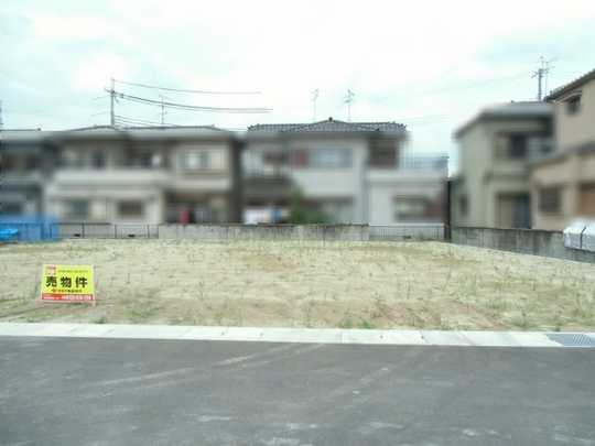 Local land photo. Local Photos