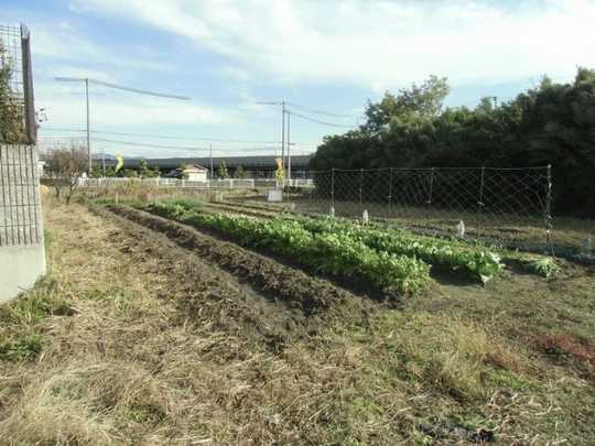 Local land photo. Local Photos