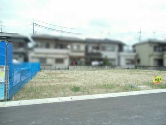 Local land photo. Local Photos