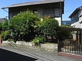 Local photos, including front road. Local (September 2013) Shooting