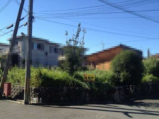 Local land photo. Local Photos (1)