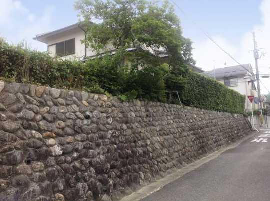 Local land photo. It is on top of this stone wall.