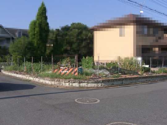 Local land photo. Local Photos (1)