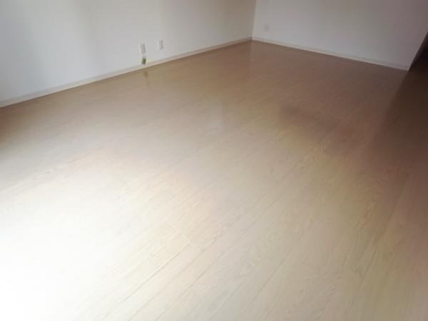 Same specifications photos (living). Same specifications living