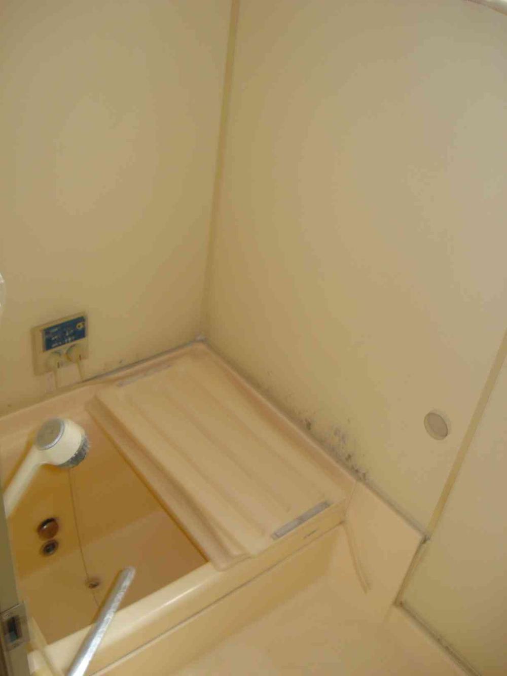 Bathroom. Easy to clean in the unit bus