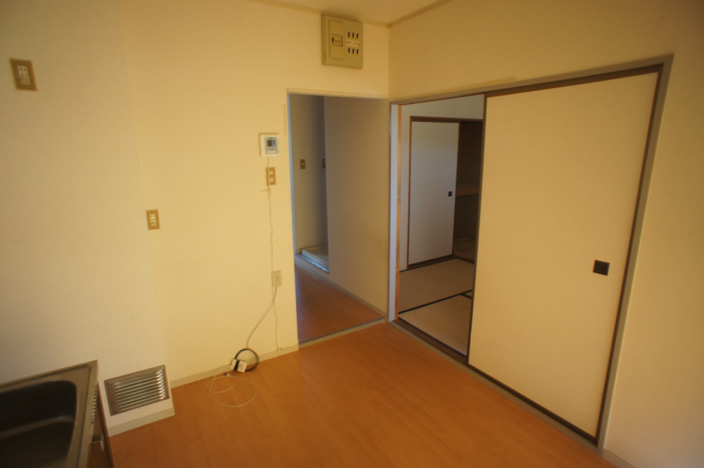 Other room space. Japanese-style room from DK