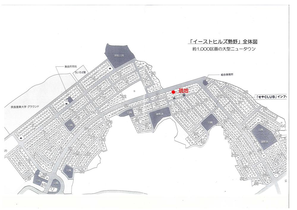 Other. "Lee - Sutohiruzu biasing field" overall view