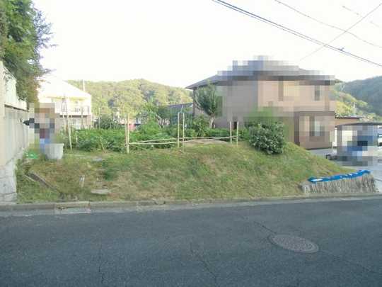 Local land photo. Local Photos (1)