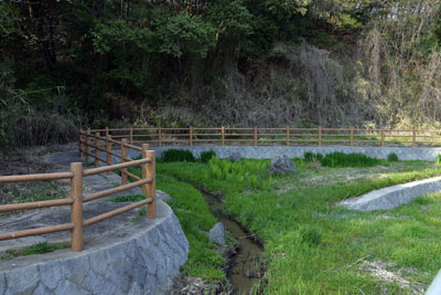 Other Environmental Photo. It is adjacent to the 500m Town to the biotope. So you can each year see a firefly, Close to feel the nature, Rich life can be likely