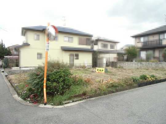 Local land photo. Local Photos (1)