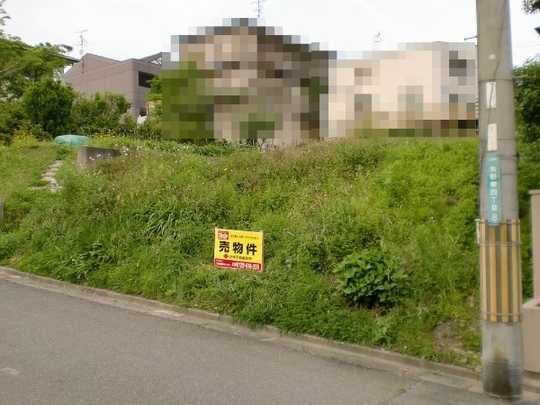 Local land photo. Local Photos (1)