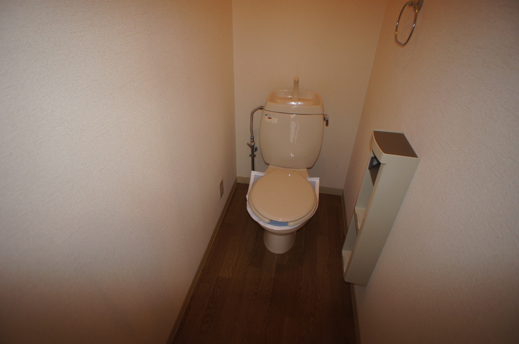 Toilet. Toilet with cleanliness!