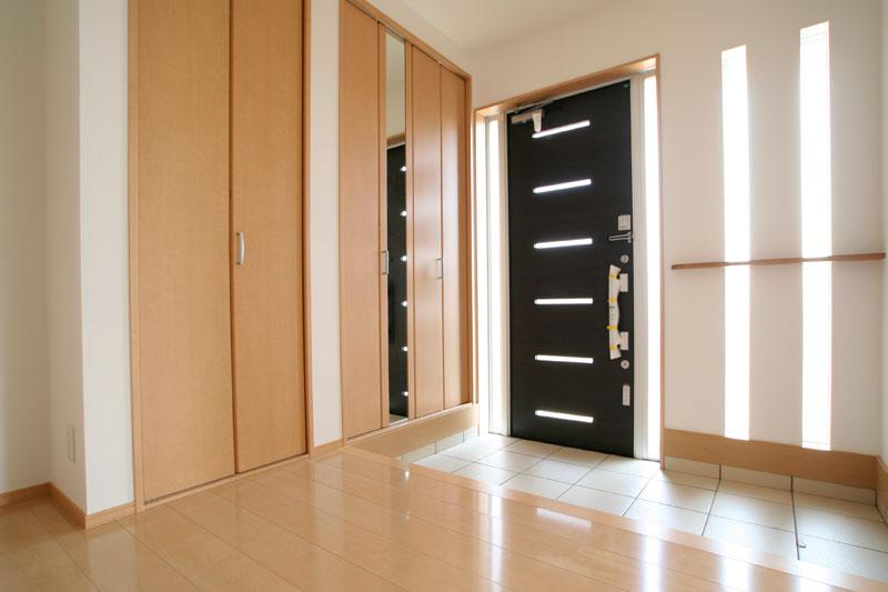 Other introspection. Entrance