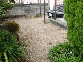 Garden. Local (11 May 2013) Shooting