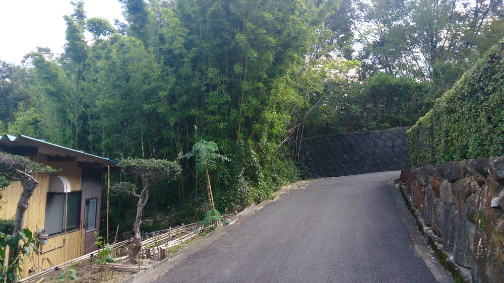 Local photos, including front road. Local (09 May 2013) Shooting