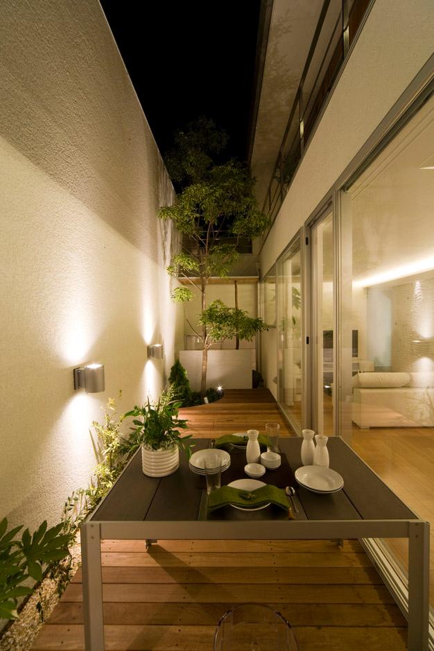 Same specifications photos (Other introspection). "Light Garden" of the night is also always To different atmosphere Same specifications