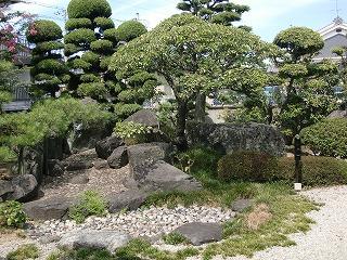 Garden. Local (July 2013) Shooting