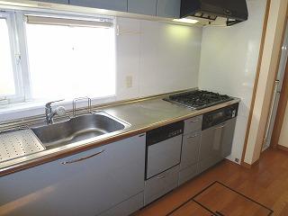 Kitchen. Indoor (11 May 2013) Shooting