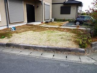 Garden. Local (12 May 2013) Shooting