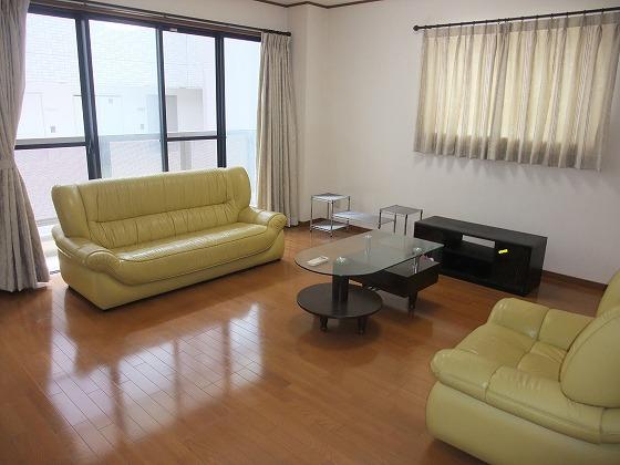 Living. Indoor (July 2013) Shooting